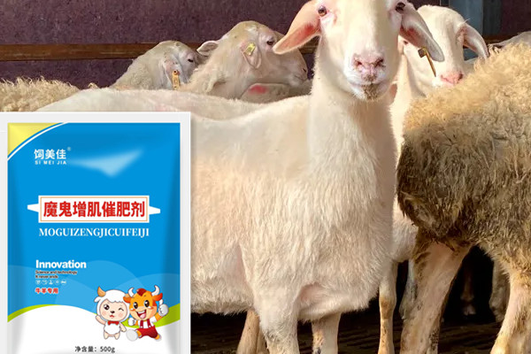 牛羊催肥饲料添加剂价格贵不贵？那家的合适？