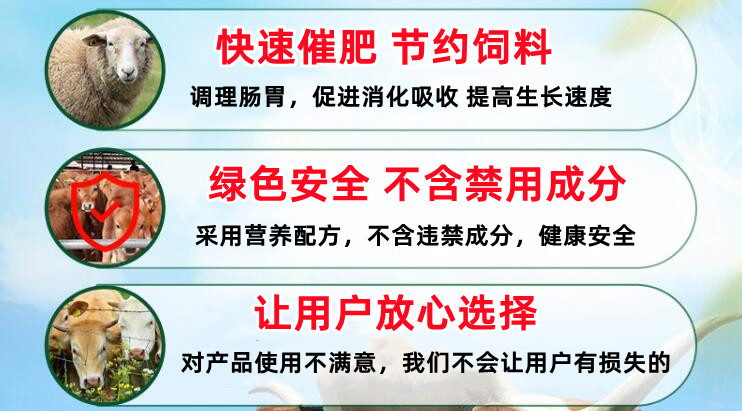 牛羊用什么催肥剂好呢？饲美佳牛羊催肥剂厂家直邮