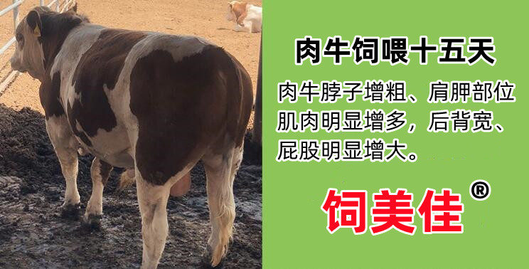 牛羊催肥饲料添加剂去油长瘦肉价格优惠