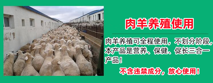 牛羊用什么催肥剂好使一些 快速催肥显著增重