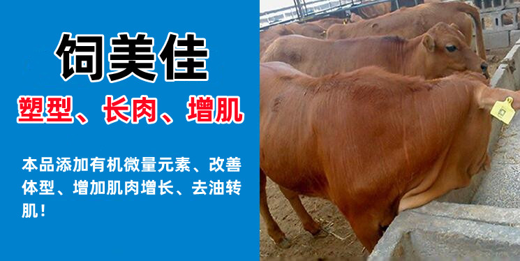牛羊饲料添加催肥剂 增重塑型牛羊催肥剂厂家批发
