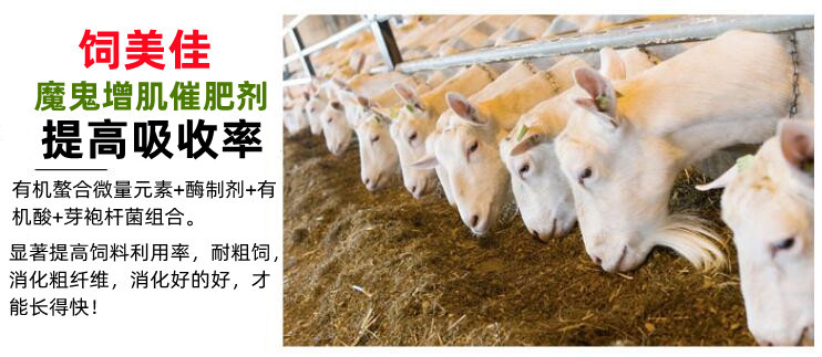 牛羊育肥用什么添加剂效果好？