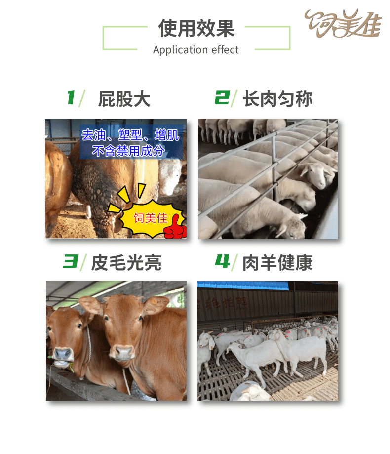 牛专用催肥添加剂 改善体型长瘦肉 牛羊催肥增重产品直发