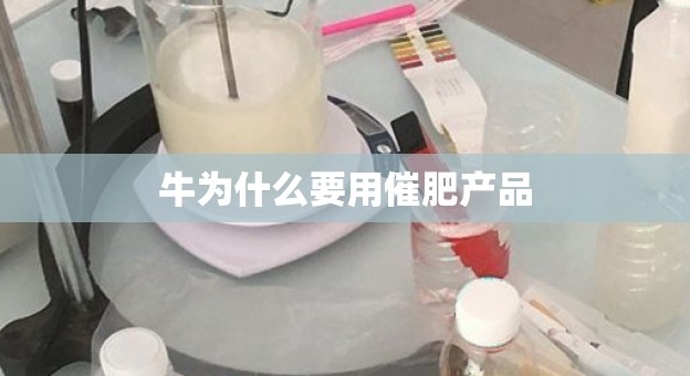 牛为什么要用催肥产品