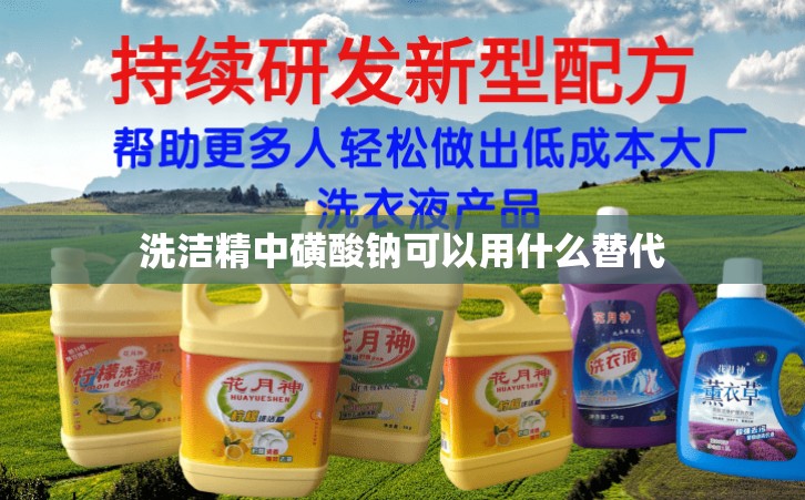 洗洁精中磺酸钠可以用什么替代