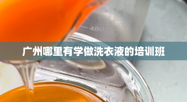 广州哪里有学做洗衣液的培训班