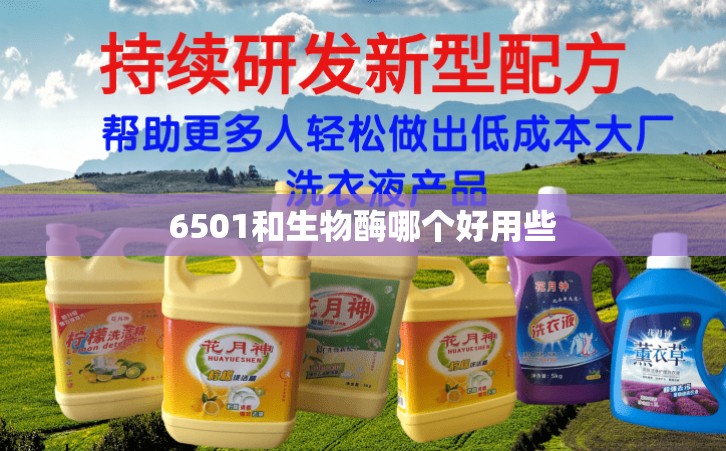 6501和生物酶哪个好用些