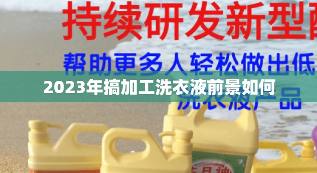 2023年搞加工洗衣液前景如何