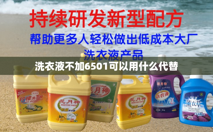 洗衣液不加6501可以用什么代替