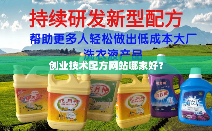 创业技术配方网站哪家好？