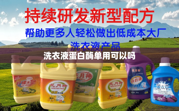 洗衣液蛋白酶单用可以吗