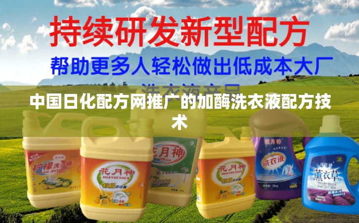 中国日化配方网推广的加酶洗衣液配方技术