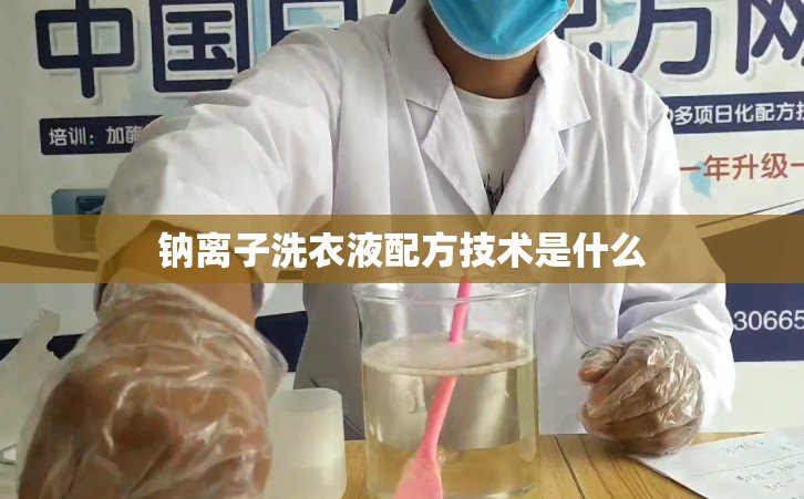 钠离子洗衣液配方技术是什么