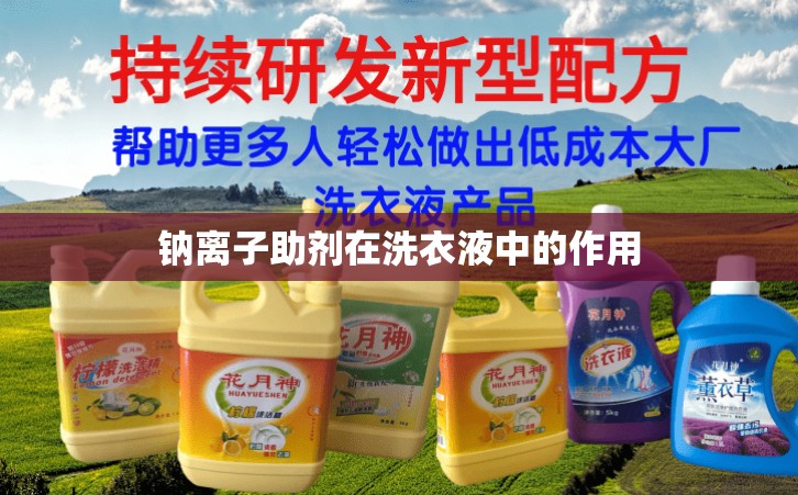 钠离子助剂在洗衣液中的作用