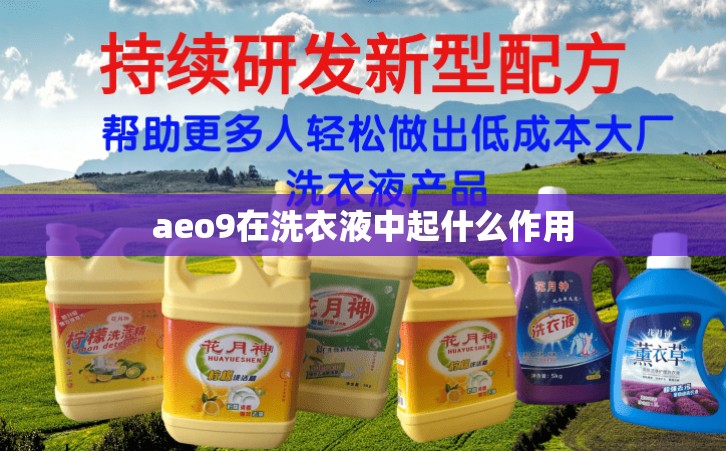 aeo9在洗衣液中起什么作用