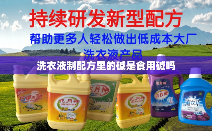 洗衣液制配方里的碱是食用碱吗