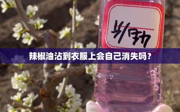 辣椒油沾到衣服上会自己消失吗？