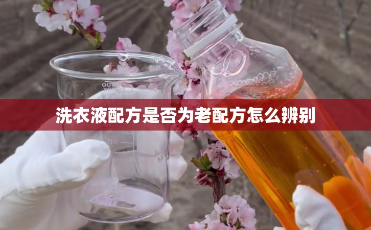 洗衣液配方是否为老配方怎么辨别