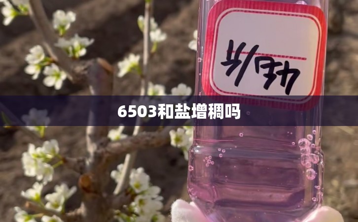 6503和盐增稠吗