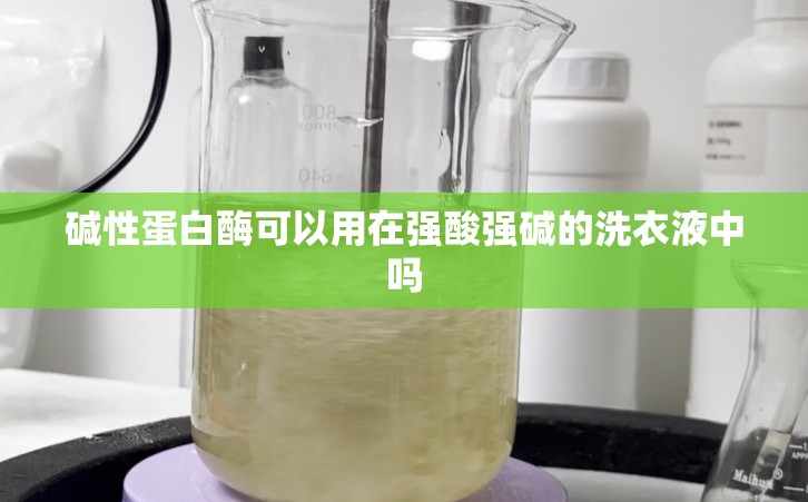 碱性蛋白酶可以用在强酸强碱的洗衣液中吗