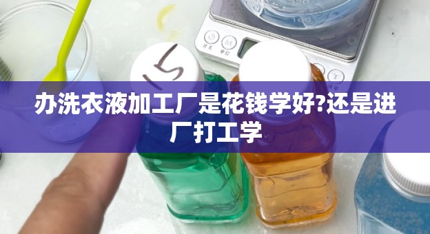 办洗衣液加工厂是花钱学好?还是进厂打工学