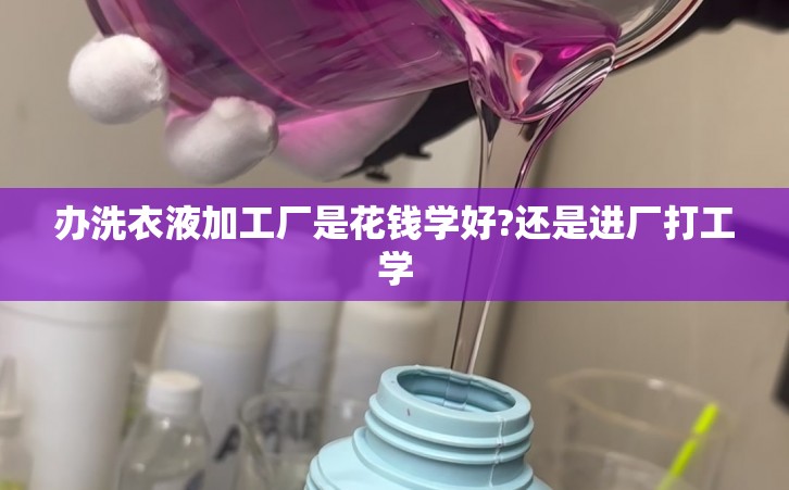 办洗衣液加工厂是花钱学好?还是进厂打工学