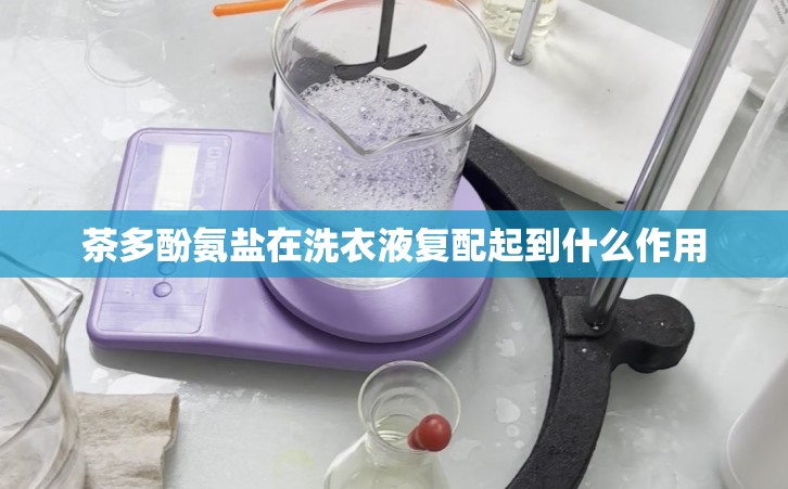 茶多酚氨盐在洗衣液复配起到什么作用