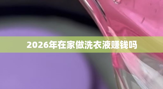 2026年在家做洗衣液赚钱吗