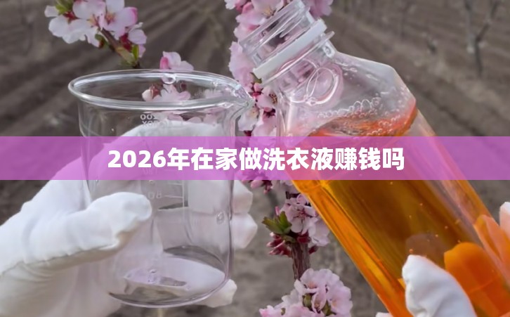 2026年在家做洗衣液赚钱吗
