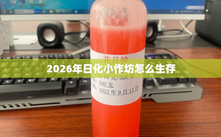 2026年日化小作坊怎么生存