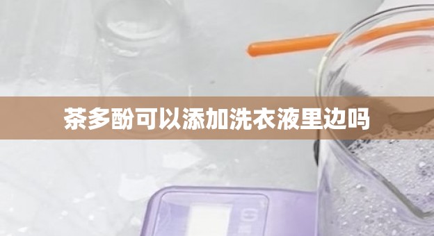 茶多酚可以添加洗衣液里边吗