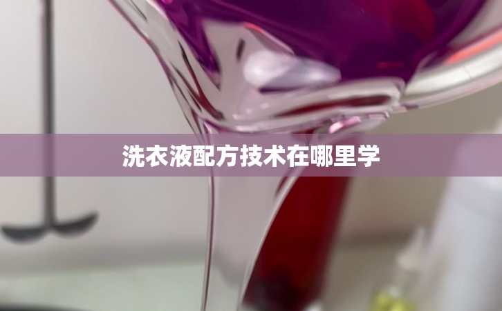 洗衣液配方技术在哪里学