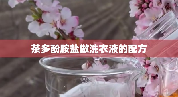 茶多酚胺盐做洗衣液的配方