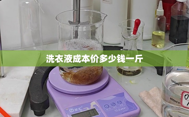 洗衣液成本价多少钱一斤