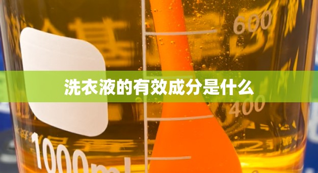 洗衣液的有效成分是什么