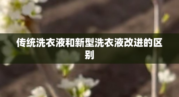 传统洗衣液和新型洗衣液改进的区别