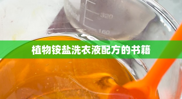 植物铵盐洗衣液配方的书籍