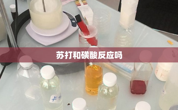 苏打和磺酸反应吗