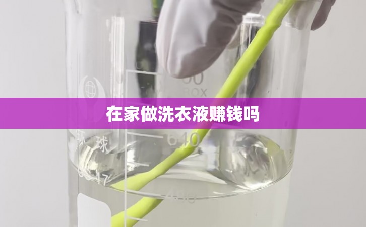 在家做洗衣液赚钱吗