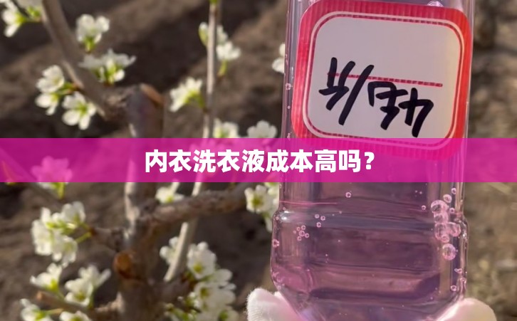 内衣洗衣液成本高吗？