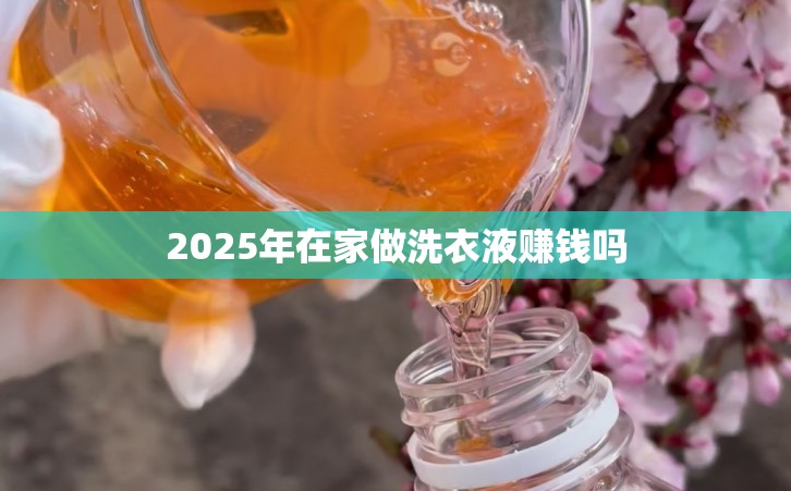 2025年在家做洗衣液赚钱吗