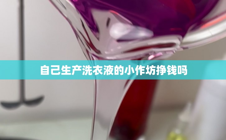 自己生产洗衣液的小作坊挣钱吗