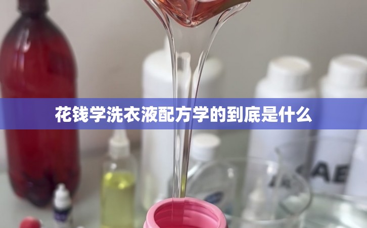 花钱学洗衣液配方学的到底是什么