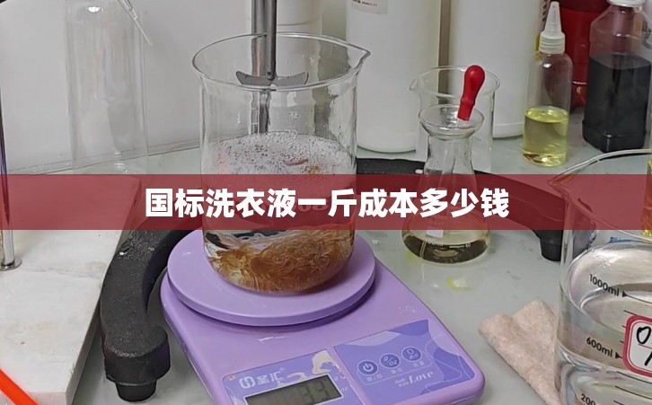 国标洗衣液一斤成本多少钱