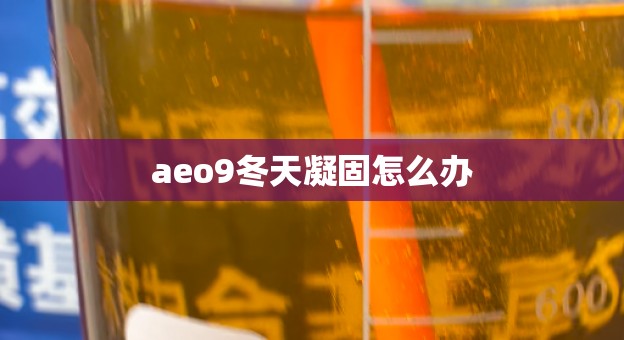 aeo9冬天凝固怎么办