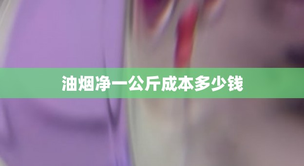 油烟净一公斤成本多少钱