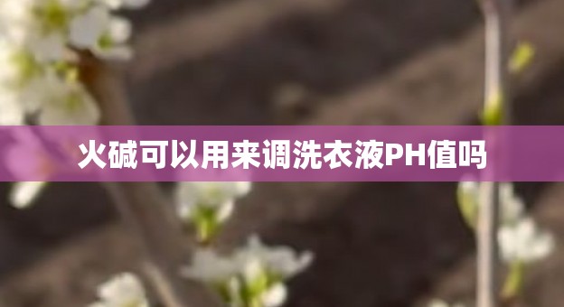 火碱可以用来调洗衣液PH值吗