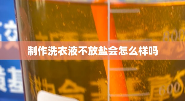 制作洗衣液不放盐会怎么样吗