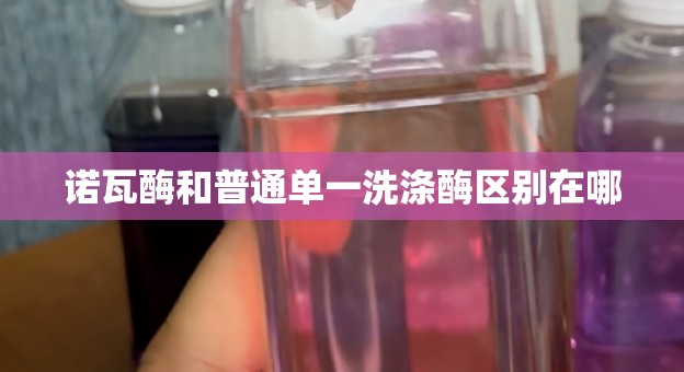 诺瓦酶和普通单一洗涤酶区别在哪