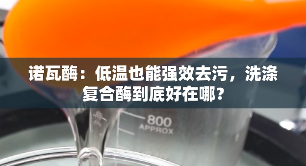 诺瓦酶：低温也能强效去污，洗涤复合酶到底好在哪？